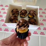 Malteser Cupcakes - 6 Box