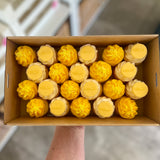 22 Mini Cupcakes - R U OK?